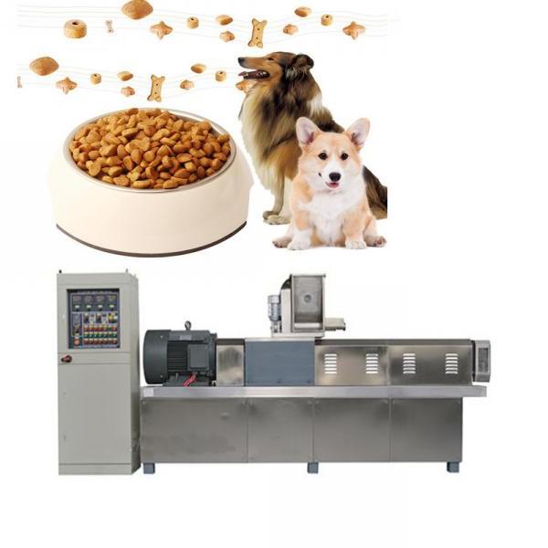 Wet Dry Pet Cat Dog Food Extruder Machine Production Line Packages Machinery