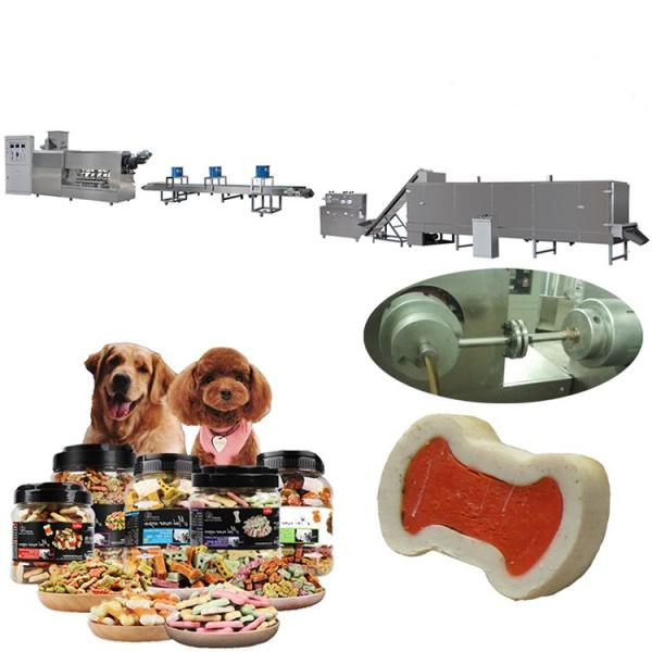 Saibainuo Automatic Dry Animal Pet Dog Cat Floating Sinking Fish Feed Pellet Production Snack Food Processing Making Extrusion Extruder Machine