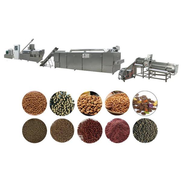 200-300kg/H Dog Cat Pet Food Machinery for Sale