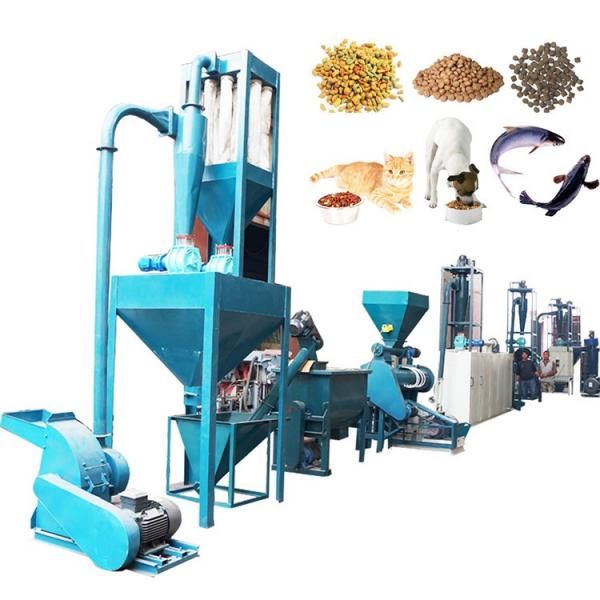 100-3000kg/Hr Industrial Automatic Wet Dry Animal Pet Dog Cat Food Extruder Fish Feed Making Machine Production Line Processing Maker Plant