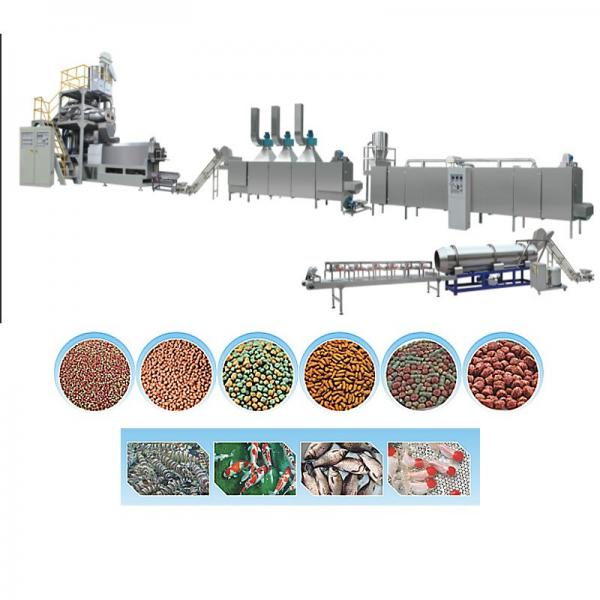 100-3000kg/Hr Industrial Automatic Wet Dry Animal Pet Dog Cat Food Extruder Fish Feed Making Machine Production Line Processing Maker Plant