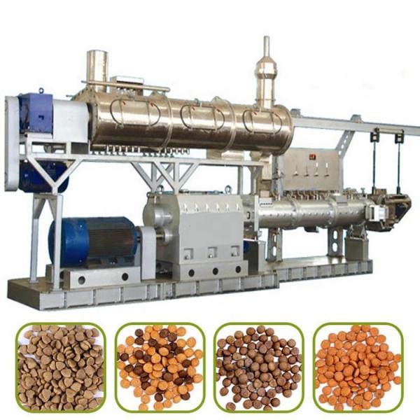 CE Certification Twin Screw Extruder Automatic Pet Food Production Line Dog Food Making Machine