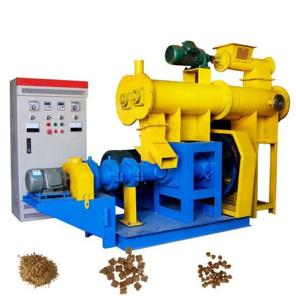 Automatic Wet Pet Dog Food Pellet Food Manufacturing Processing Equipment.